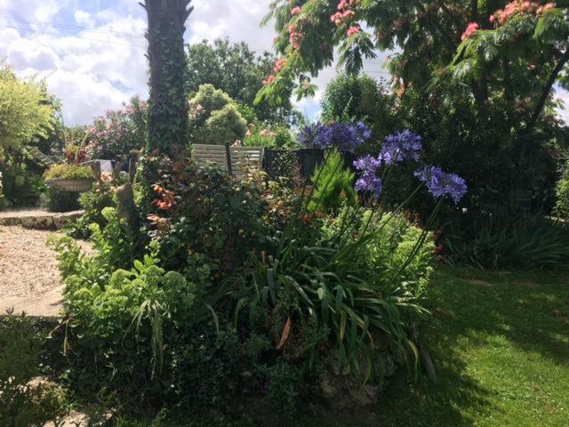 Bed and Breakfast Chez Brown à Saint-Thomas-de-Cônac Extérieur photo